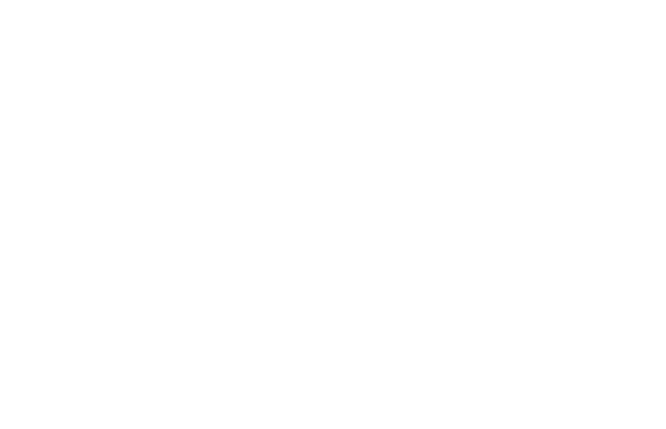 Magyari Aviation Consulting